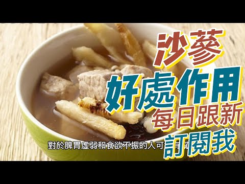 EP197 沙參（Adenophora Root）的好處與作用 滋陰補腎 止咳化痰 潤肺止渴