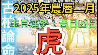 【古柏論命每月運勢+吉日凶日】2025年農曆2月(陽曆2025年2/28 ~ 3/29)生肖運勢分享 -  虎