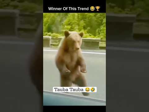 Winner🏆Of Tauba Tauba🤣😂#trending#trend#trendingnow