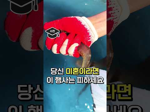 기혼이라면 당장 가세요.. 서천 전어 잡이 축제