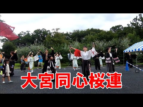 はすだ市民まつり　大宮同心桜連