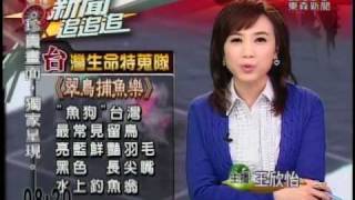 東森主播王欣怡-2009/2/8新聞播報片段