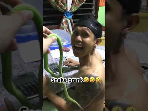 SNAKE PRANK GONE WRONG