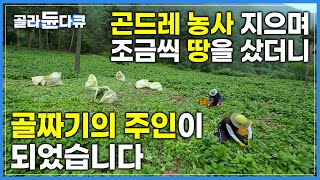 해발 700m 첩첩산중 산골짜기에서 곤드레 밭을 일구며 사는 부부|빈손으로 귀촌했지만 이제는 어엿한 골짜기 주인|강원도 영월의 오지 마을|봄 제철음식 곤드레|한국기행|#골라듄다큐