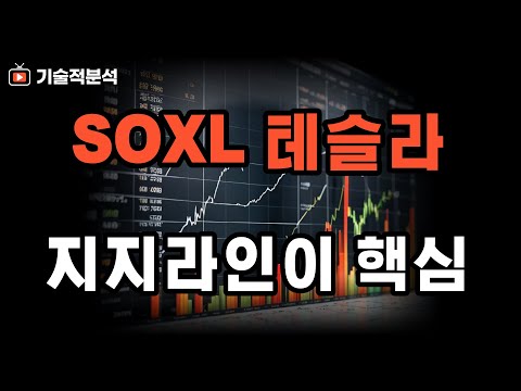 SOXL TQQQ 테슬라 주간 대응 방향 ｜지지 라인을 꼭 확인하세요!