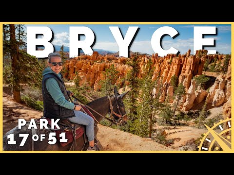 🐴⛰️ Bryce Canyon: America's Most Underrated National Park? | 51 Parks with the Newstates