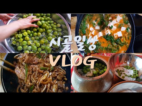 VLOG 개복숭아, 매실 효소 만들기 (ft. 아욱된장국, 가지볶음, 오삼불고기) country story, osam bulgogi