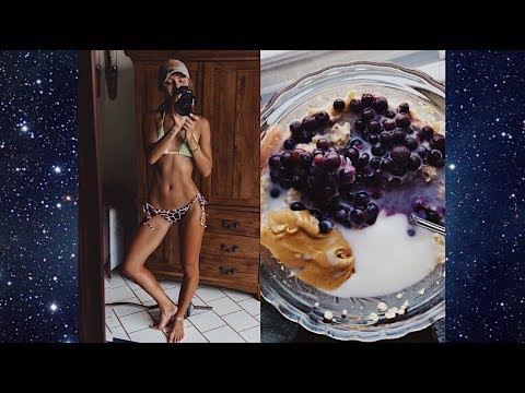 What I Eat VEGAN to heal digestion (CALORIES INCLUDED!) + VAN REMODEL UPDATE!