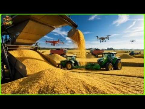 Massive Rice Harvesting & Processing | The Latest Agricultural Technology