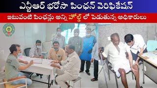 NTR Bharosa Pension Verification Process I వెరిఫికేషన్ లో ఇటువంటి పింఛన్లు అన్ని హోల్డ్ లో పెడుతున్న