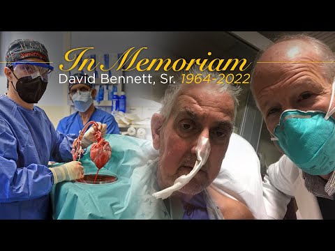 Update: University of Maryland Pig Heart Transplant Recipient David Bennett Has Died