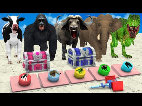 Choose the Right Gift Box Run And Win With Elephant, Cow, Gorilla Wild Animals Mystery Button Game