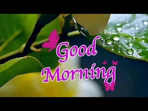 Ep-59/Good morning wishes with Beautiful images/Goodmorningvideostatus.subscribe @smilingthulasi3686