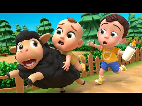 Baa Baa Black Sheep | Baby’s Funny Milk Adventure! | Newborn Baby Songs & Nursery Rhymes