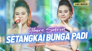 SETANGKAI BUNGA PADI - ALMERA SABRINA ft. NIRWANA COMEBACK | LIVE MUSIC