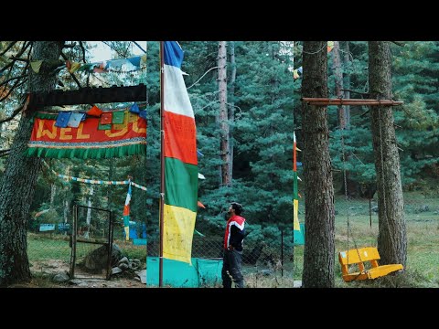 Explore Into the wood cafe / pulga / himachal pradesh