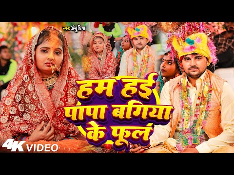 रुला देने वाला बेटी विदाई गीत || हम हई राउर ए बाबा बगिया के फूल || Anshu Priya Shadi Vivah Geet