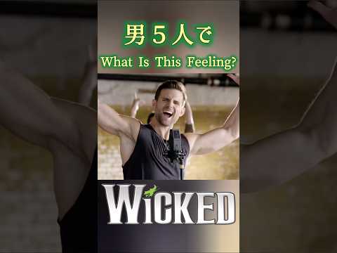 男5人(元フィエロを含む)でウィキッド WHAT IS THIS FEELING? #wicked #ミュージカル #musical #wickedmusical #broadway #ウィキッド