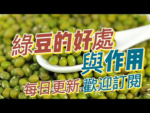 EP119 綠豆的好處與作用 健康 素食 養生 天然 食療 原形食物