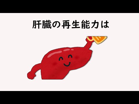 人体に関する雑学【明日の話のネタに】＃雑学　＃１分間　＃人体