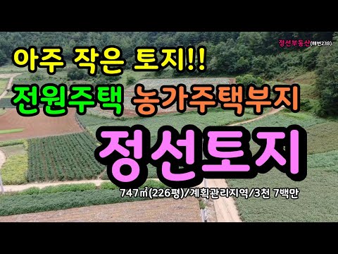 아주 작은 토지!! 전원주택 농가주택부지 정선토지 3천 7백만원 / 정선토지박사