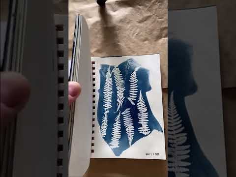 A Look Inside My Cyanotype Sketchbook