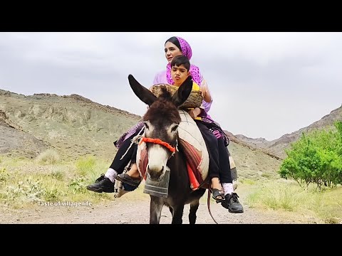 Village lifestyle Iran | Donkey riding Cooking Launch for my shepherd brother