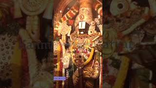 om namo venkatesaya| narayana| govinda| gopala| mahavishnu| devotional songs| perumal|