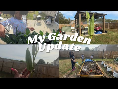 Garden Update With My Grandbabies🥰