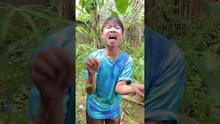 Panen daun singkong #gengshortsindonesia #contencomedy