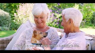 Pet Ownership: Advice on caring for pets in later life and the joy they bring to seniors.#motivation