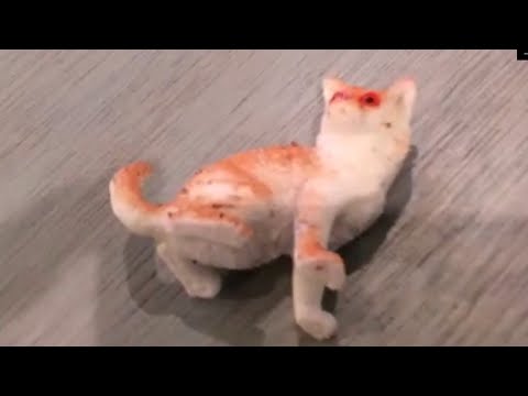 キモい猫のおもちゃ