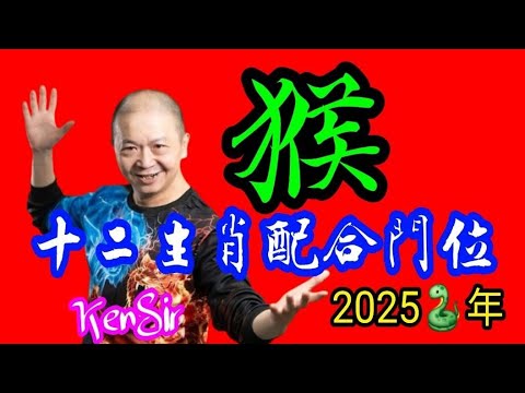 🧭🏠⛩️《猴》｜2025蛇年十二生肖｜《猴》配合家居環境｜生肖配八門吉兇｜宅命相配｜環境能量｜#2025蛇年 #生肖猴