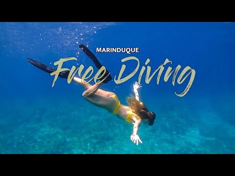 FREE DIVING IN MARINDUQUE #marinduque #marinduque2021 #marinduquetouristspot #freedive