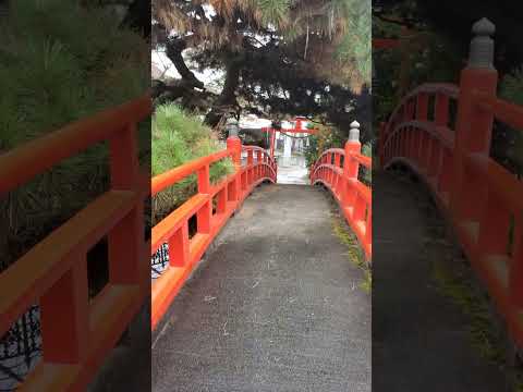 神社に訪れました