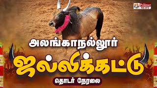 🔴LIVE: Alanganallur Jallikattu 2025 | அலங்காநல்லூர் ஜல்லிக்கட்டு | Pongal | Madurai | மதுரை