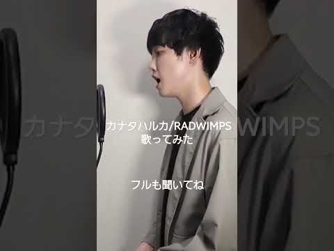 カナタハルカ/RADWIMPS 歌ってみた　　　　　　　　　#radwimps #カナタハルカ 歌ってみた #すずめの戸締まり #阿南要平