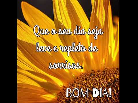 Bom Dia 🌻