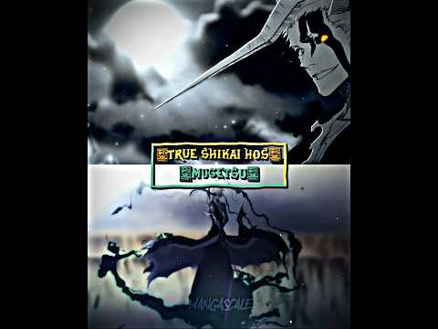 True Shikai Hos vs Mugetsu Ichigo #bleach