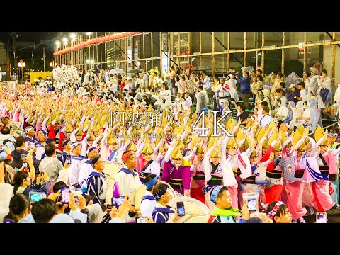 [17 consecutive dances] A masterpiece of Awa Odori that can withstand a typhoon - awaodori in 4K