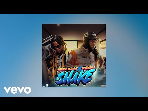 Prince Swanny, Skillibeng - SHAKE (AUDIO)