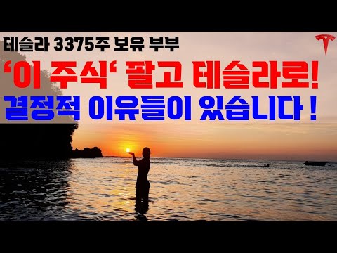 뜻밖의 매도 이유겠지만, 테슬라가 더 나은 '정답'이라 생각합니다!