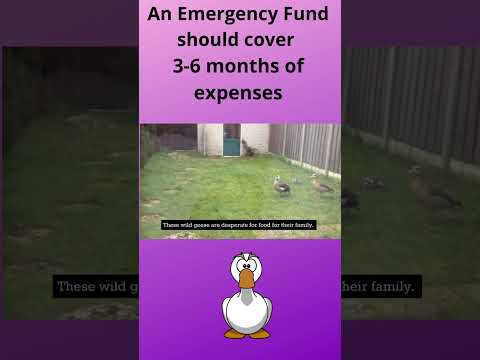 Emergency Fund size-#shorts #emergencyfunds #emergencyfund