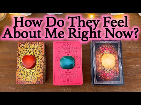 💕WHAT DOES HE/SHE THINK AND FEEL ABOUT ME RIGHT NOW?💕| 🔮Pick A Card🔮 | Love Tarot Reading (Timeless)