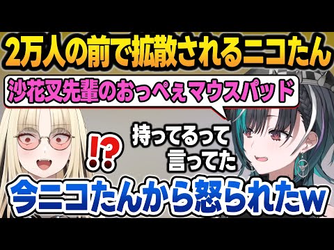 同期に2万人の前で沙花叉のおっぺぇマウスパッドを持ってる事を拡散されるニコたん【輪堂千速/虎金妃笑虎/沙花叉クロヱ/ホロライブ/切り抜き】