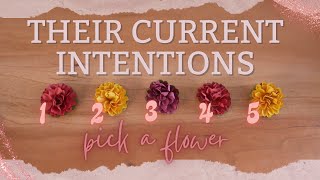 🤔🌟 What Are Their Current Intentions? *Timeless* | PICK A CARD | Intuitive Tarot Reading Prediction