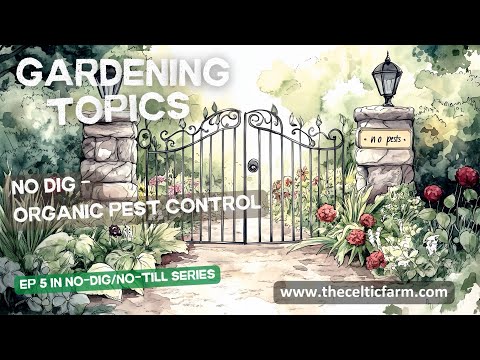 No-Dig Pest Control: Invisible Shield for Your Garden! (Ep. 5)