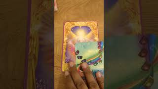 Angel Answers 😇🪽 #tarot #tarotreading #collectivereading #tarot #angelanswers