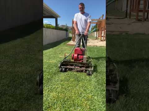 My ancient mower broke, lawn leveling series #lawnlife #lawn #lawncare #lawnleveling