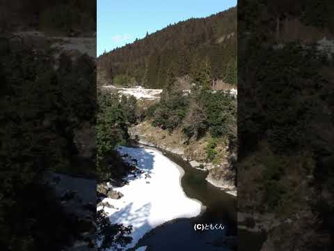 樽見鉄道　雪とハイモ　2 #鉄道